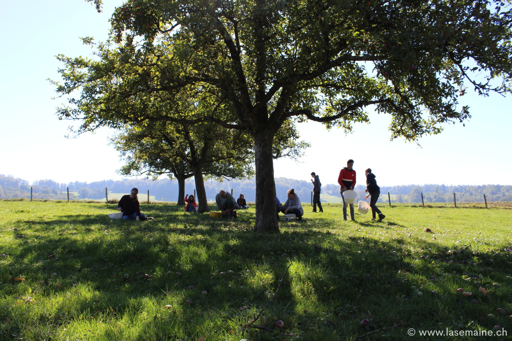 CP Plateau De Diesse